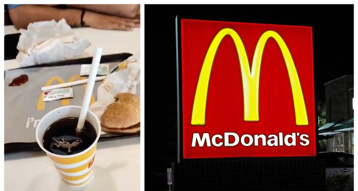 ödla, Indien, McDonalds